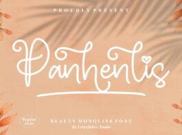 Panhenlis – Beauty Monoline Font