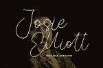 Plausible Font