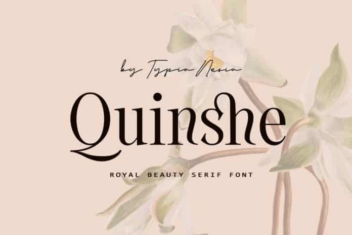 Quinshe Font