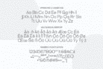 Reynard Font