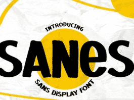 SANES - Sans Display Font