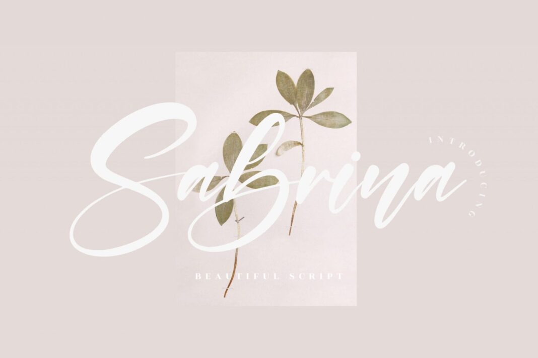 Sabrina Beautiful Script Font