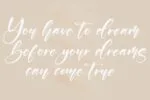 Sabrina Beautiful Script Font