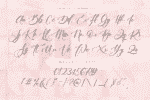 Samerosella - Elegant Script Font