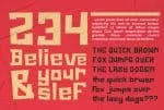 The Distriction Font