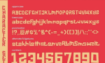 The Distriction - Unique Display Font