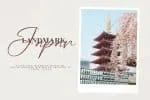 Tokushima Arigatou Script Font