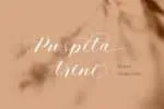 Tulsya Hazard Font