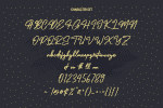 Twicelights Signature Script Font