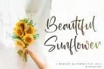 Wondelland Script Font
