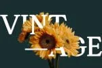 Gandia Serif Font