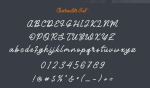 Bayhours Cursive Script Font