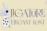Cheops Elegant Font