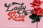 Aesthetic Vintage Font