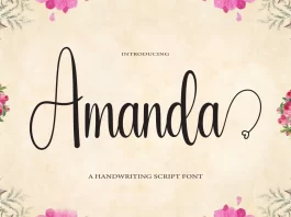 Amanda Script Font