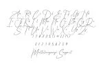 Amaya Font