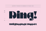 Austro Typeface Font