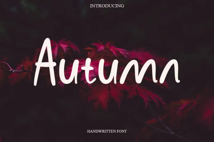 Autumn Script Font