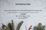 Bayate Font
