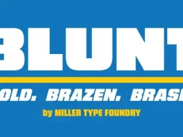 Blunt Display Font