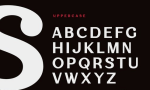 Campaign - Modern Humanist Sans Serif Font