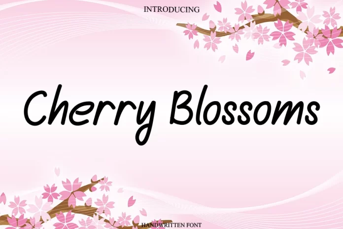 Cherry Blossoms Typeface Font
