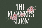 Diomeca Font