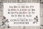 Diomeca Font