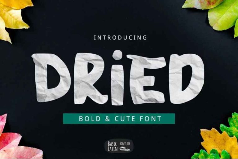 Dried Bold Font