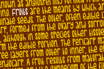 Dudlidoo Font