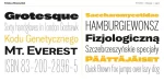 Favela Font Family