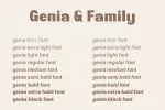 Genia Sans Serif Font