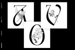 Guffonia Font