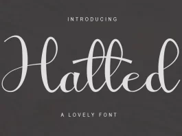 Hatted Font