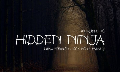 Hidden Ninja Font