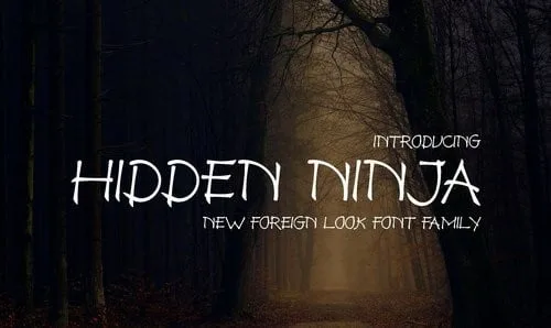 Hidden Ninja Font