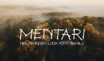 Hidden Ninja Font