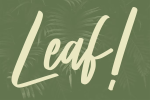 Hidestix Font