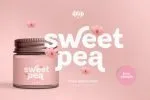 Losta Nova Font Family
