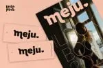 Losta Nova Font Family