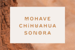 Mesa Font