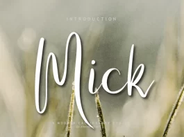 Mick Font