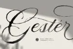 Miss Wailsey Font