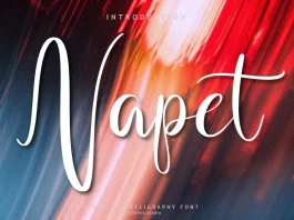 Napet Font
