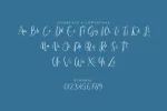 Napet Font