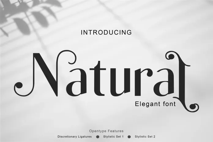 Natural Sans Serif Font