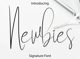 Newbies Font