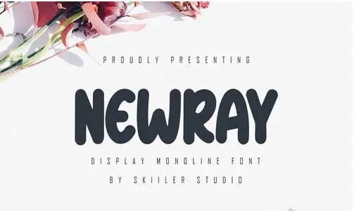 Newray - Display Monoline Font