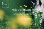 Poule Serif Rustic Font