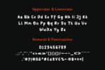 Shyest Font
